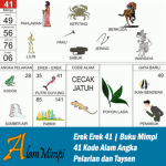 Erek Erek 41 | Buku Mimpi 41 Kode Alam Pelarian dan Taysen